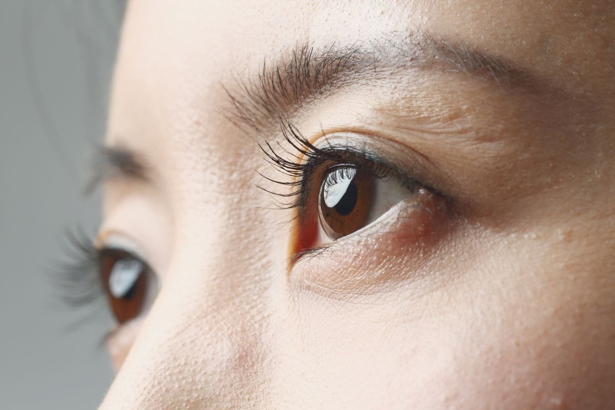 lash lift bulu mata